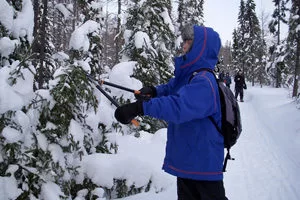boy-cutting-tree-winter-weather-fun-1-300x200 Paula Lillard Preschlack - boy having winter fun, cutting tree.