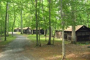 postcard-from-camp-montessori-education-300x200-300x200 Paula Lillard Preschlack - postcard from Camp Montessori.