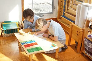 Paula Lillard Preschlack - two boy doing a Montessori math activity.